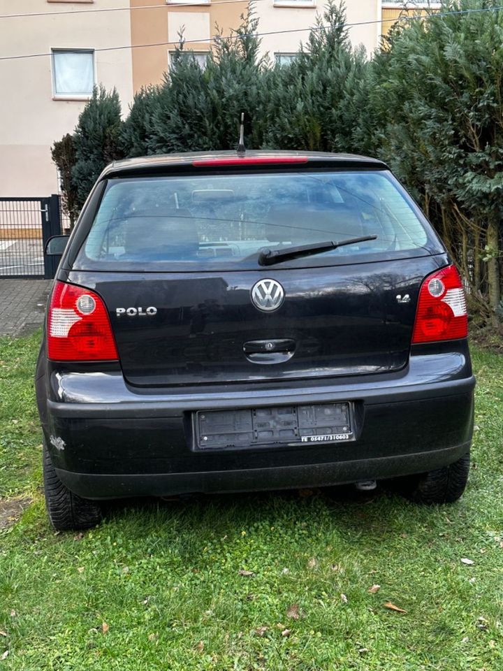 Volkswagen Polo 1.4 in Osnabrück