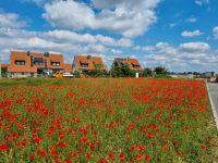 Baugrundstück für Einfamilienhaus im grünen mit Fernblick Sachsen - Müglitztal Vorschau