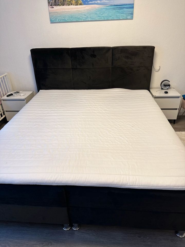 Boxspringbett 180•200 in Walsrode