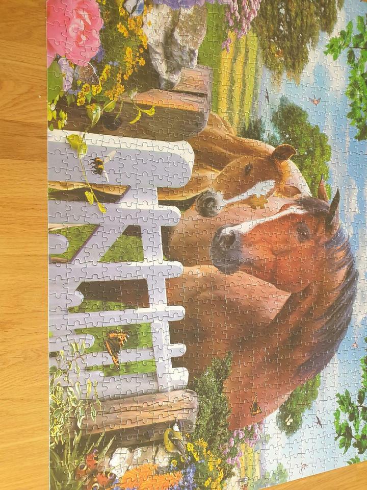 King Animal Collection 1000 Teile Puzzle Horses at the gate in Bad Lippspringe