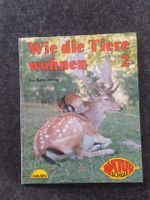 Wie die Tiere wohnen 2 von Björn Dössing - Natur Schule Nordrhein-Westfalen - Geldern Vorschau