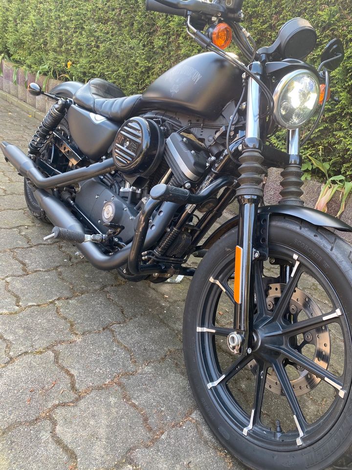 Harley Davidson Iron 883 in Selsingen