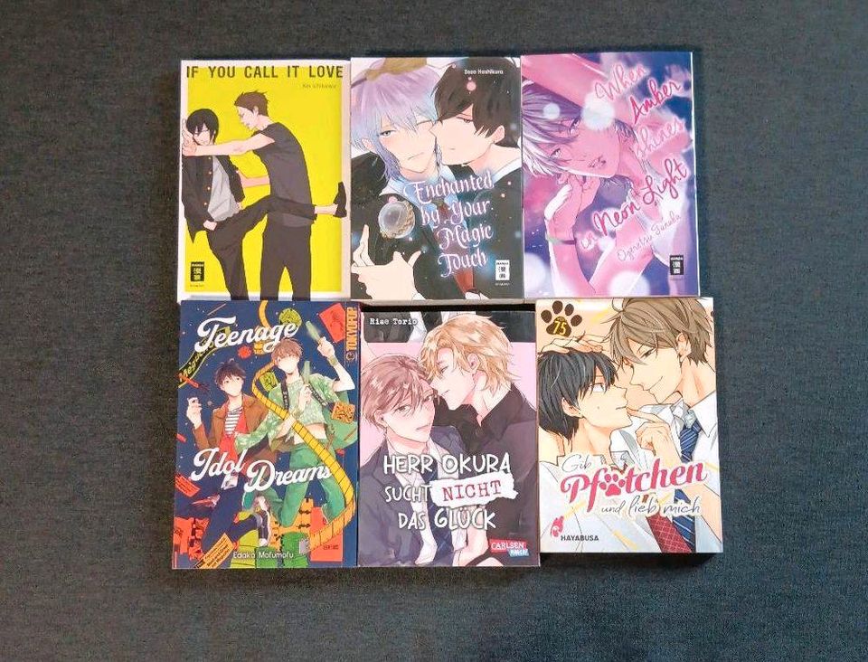 BL Manga verschiedene in Notzingen