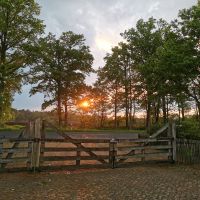 Knabberäste / Zweige Niedersachsen - Bad Bentheim Vorschau