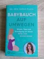 Babybauch auf Umwegen Sachsen - Heidenau Vorschau