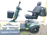 SENIORENMOBIL Luchs R7S Racing green Thüringen - Erfurt Vorschau