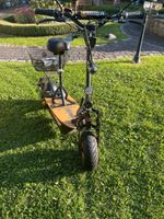 e-Roller, e-Scooter, Forca EVOKING 3.7 mit Straßenzulassung ! Nordrhein-Westfalen - Welver Vorschau