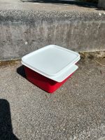 *wNEU* | Tupperware | Brotdose | rot weiß Nordrhein-Westfalen - Lohmar Vorschau