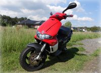 Gilera Runner 50 / mit Papiere - 50er Roller Nordrhein-Westfalen - Hövelhof Vorschau