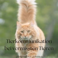 Tierkommunikation mit vermissten Tieren Niedersachsen - Heeslingen Vorschau