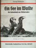 Georg Hoffmann - Ein See im Walde 1941 Schleswig-Holstein - Müssen Vorschau