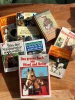 verschiedene Ratgeber / Ausbildung / Haltung / Ernährung Pferde Thüringen - Kranichfeld Vorschau