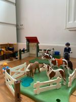 Playmobil Ponyhof mit Pferdekoppel und Waschplatz Rheinland-Pfalz - Landau in der Pfalz Vorschau