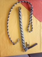 Paracord Set Hundehalsband und Leine Bayern - Hohenwart Vorschau