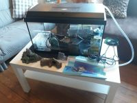 Aquarium 60 Liter Nordrhein-Westfalen - Reichshof Vorschau