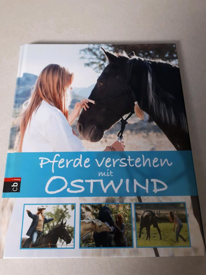 Pferde verstehen mit Ostwind Buch in Osterweddingen