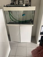 120 L Aquarium Firma Juwel Nordrhein-Westfalen - Mönchengladbach Vorschau