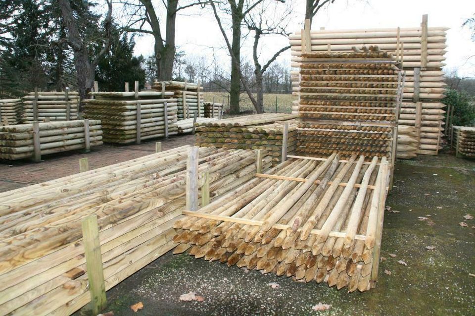 Baumpfähle - Zaunpfähle - Holzpfähle - 5 x 250 cm - imprägniert - in Wagenfeld