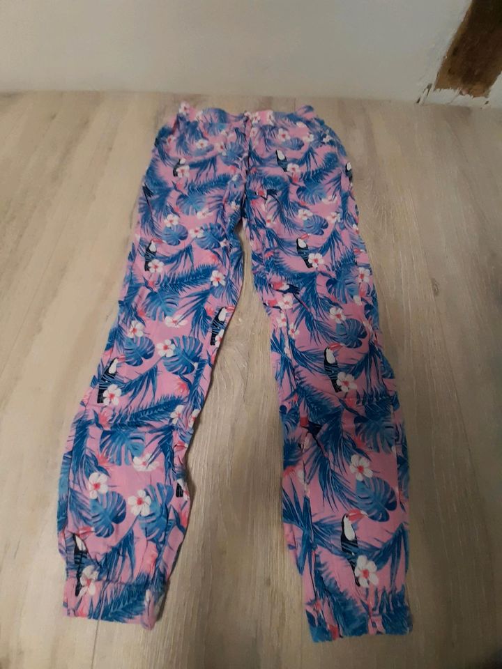 Shorts Leggins Gr.134/140 in Hamm