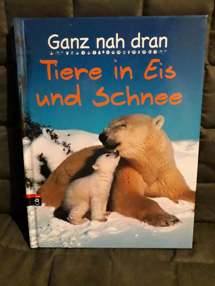 Kinderbücher je 2 € in Dresden