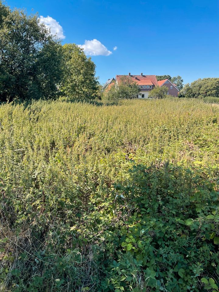 Baugrundstück Bantorf ab 700m2 bis 2300m2 in Barsinghausen