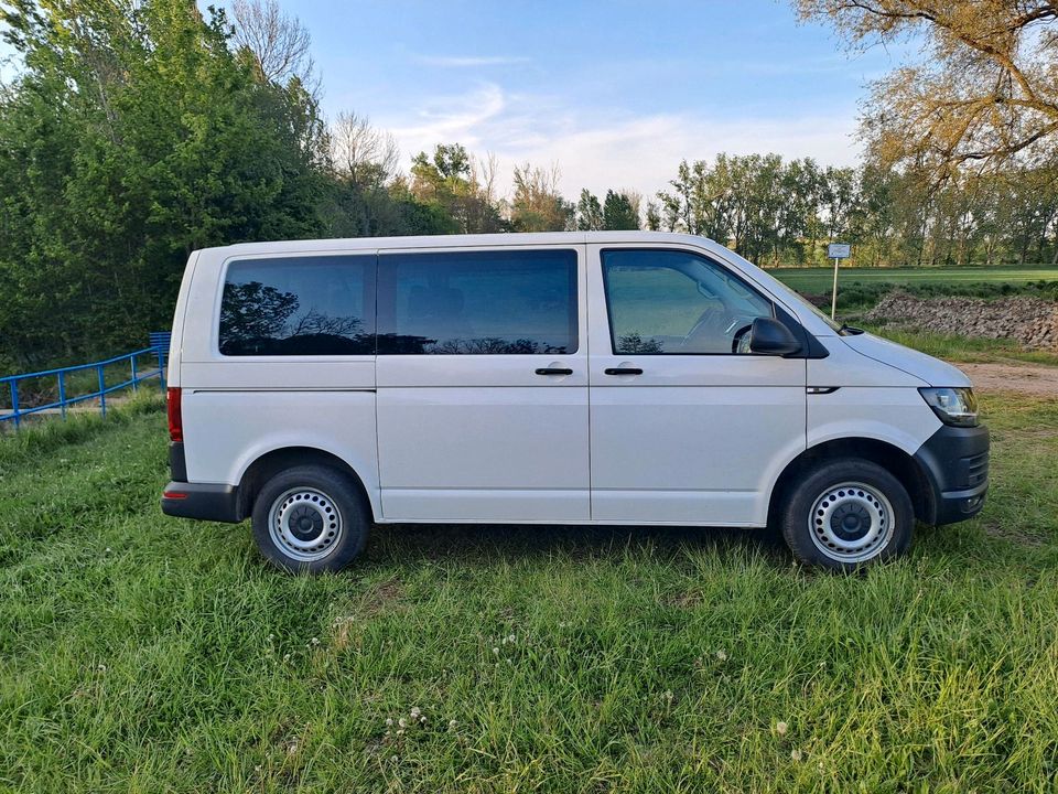 VW T6 2.0 TDI in Aschersleben