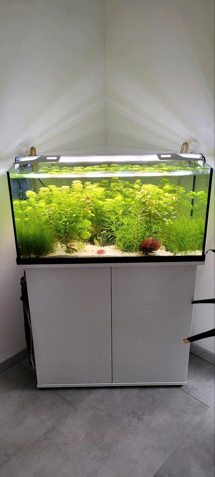 120 Liter Aquarium mit Unterschrank &viel Zubehör Fische Pflanzen in Dinslaken