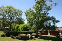 Urlaub Blockhaus/ Ferienwohnung – Ostsee, Strand, Ferien mit Hund Bad Doberan - Landkreis - Rerik Vorschau