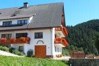 Ferienhaus im Schwarzwald in Alleinlage, Ferienwohnungen Panorama Baden-Württemberg - Oppenau Vorschau