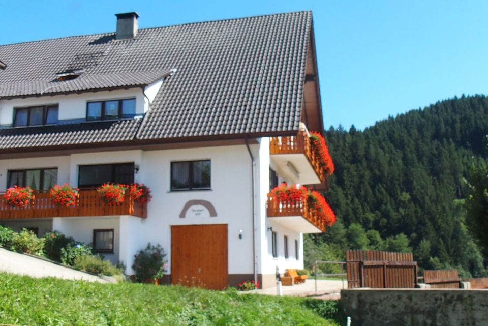 Ferienhaus im Schwarzwald in Alleinlage, Ferienwohnungen Panorama in Oppenau