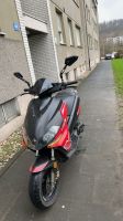 benelli quattro nove x49 Nordrhein-Westfalen - Hagen Vorschau