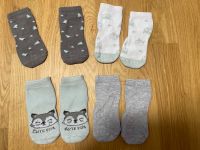 Babysocken 86/92 Thüringen - Erfurt Vorschau