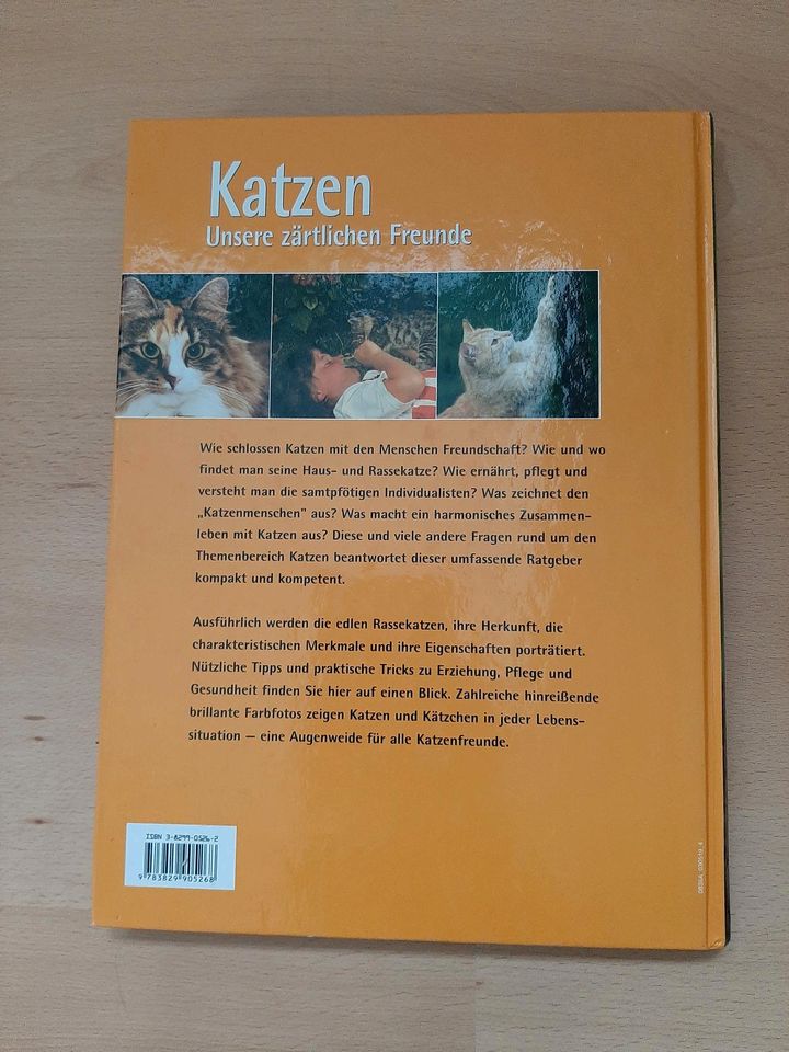 Katzen- Unsere zärtlichen Freunde- Sachbuch von Antje Breuer in Thum