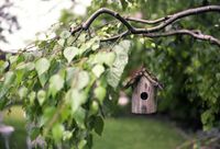 Im grünen Leben mit riesigem Garten! Schleswig-Holstein - Reinbek Vorschau