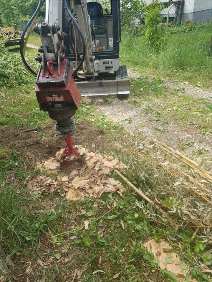 ❗Baumfällung,Hecke/Problembaum fällen / entfernen, Heckenschnitt in Bruckberg bei Landshut