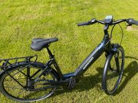 E-Bike Winora iN5 Niedersachsen - Northeim Vorschau