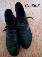 Fußballschuhe, Stutzen für Jungs ab Größe 35.5 Thüringen - Seitenroda Vorschau