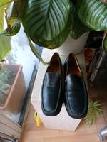 Herren Tod"s Schuhe Gr 10.5 Bayern - Augsburg Vorschau
