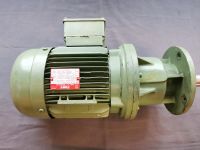 Getriebemotor 45U/min, 74U/min, 147U/min 0,55KW Förderband Baden-Württemberg - Hohentengen Vorschau