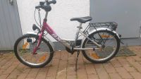 Fahrrad pegasus Nordrhein-Westfalen - Hiddenhausen Vorschau