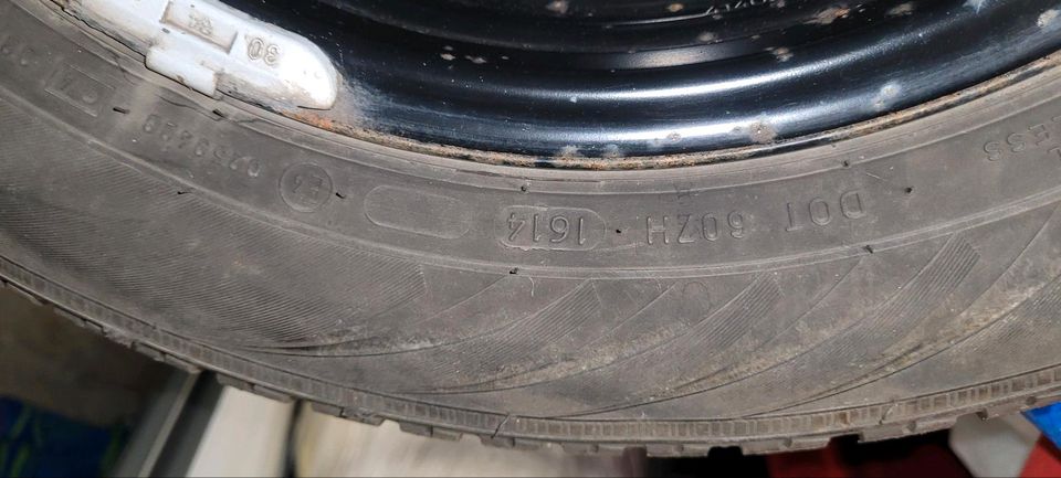 Winterräder Nokian WR D3 175/65 R 14 82 T SKODA VW SEAT AUDI in Groß Twülpstedt