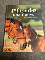 Pferde & Pony‘s Bayern - Schechen Vorschau