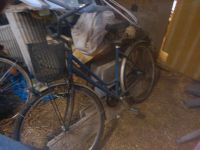 5 alte Fahrräder zum restaurieren Brandenburg - Dahme/Mark Vorschau