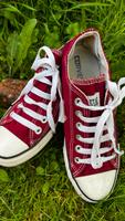 Converse Gr:38 Nordrhein-Westfalen - Düren Vorschau
