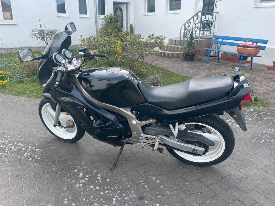 Suzuki GS 500 E in Neustrelitz