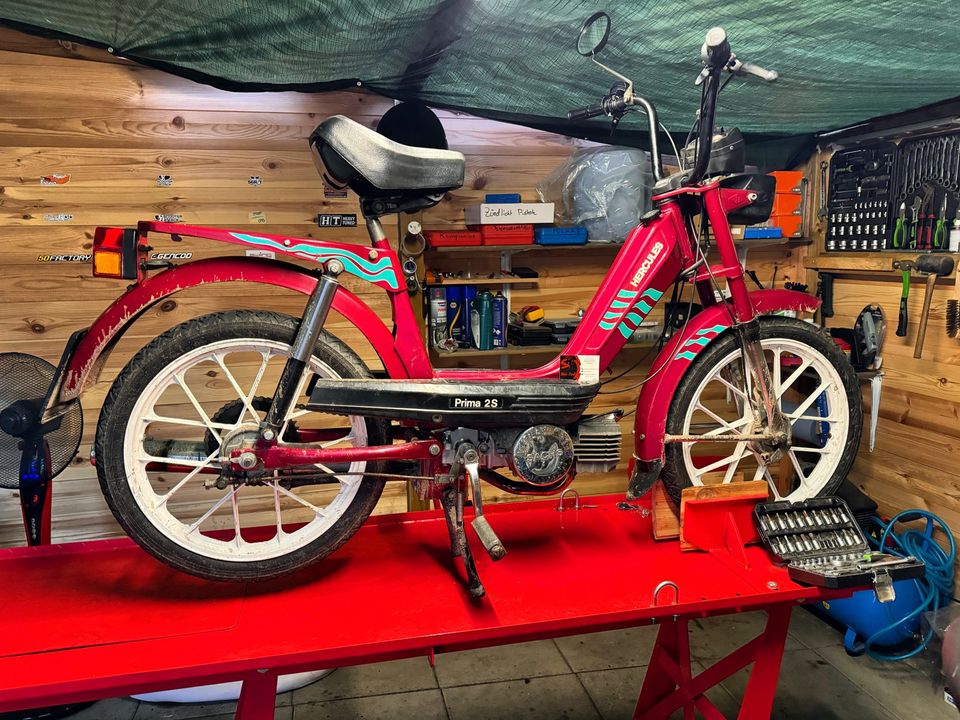 Biete Roller Mofa Cross Schaltmoped usw. Reparaturen an. in Werlte 