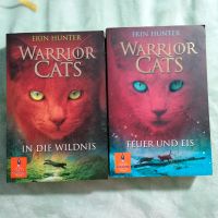 Warrior Cats, 2 BÜCHER, Jugend, Fantasy Baden-Württemberg - Ostfildern Vorschau