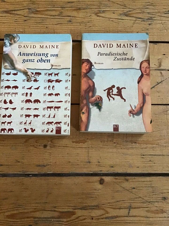 Buchpaket David Maine in Hamburg