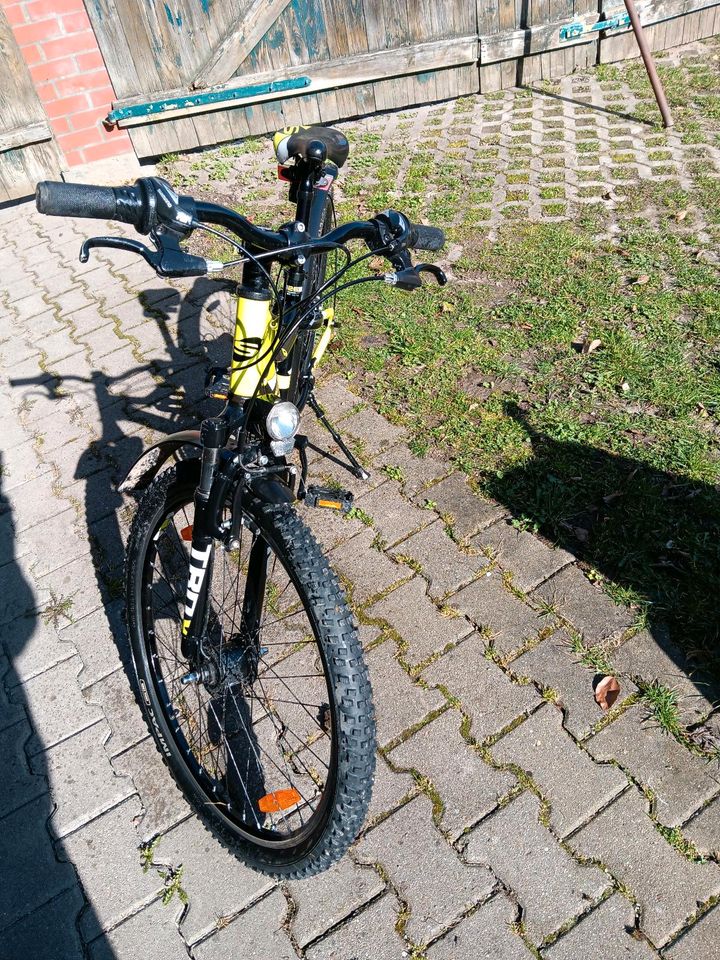 Mountainbike in Rittersdorf