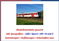 Ankauf von Modelleisenbahnen -Spurgröße -1 - LGB - 0 - H0 - N - Z Schleswig-Holstein - Neumünster Vorschau